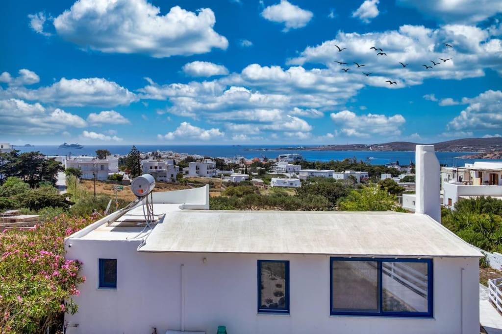 Apartament Ble 2